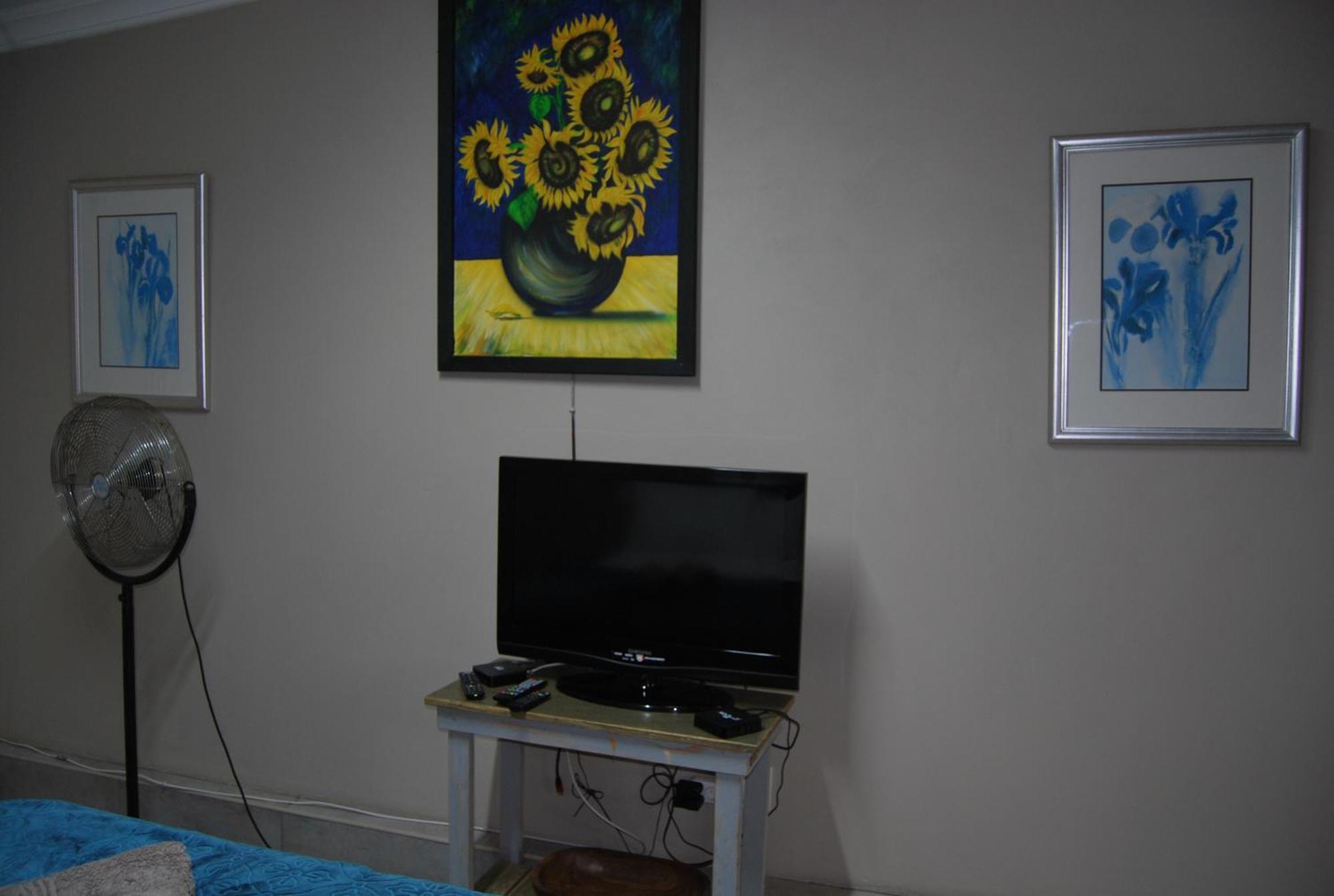 15 Witpeer Street Guesthouse 乔治 外观 照片